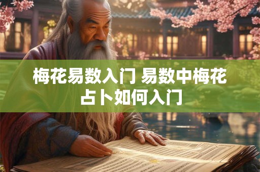 梅花易数入门 易数中梅花占卜如何入门