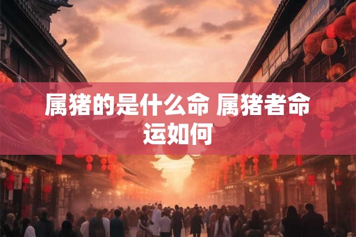 属猪的是什么命 属猪者命运如何