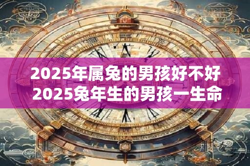 2025年属兔的男孩好不好 2025兔年生的男孩一生命运