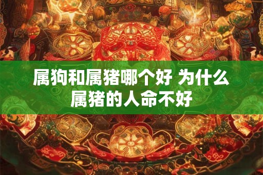 属狗和属猪哪个好 为什么属猪的人命不好 属狗和属猪哪个好 为什么属猪的人命不好