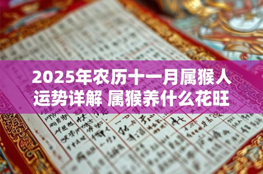 2026年农历十一月属猴人运势详解 属猴养什么花旺财