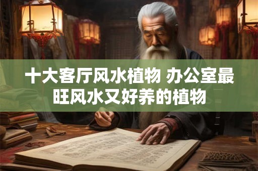 十大客厅风水植物 办公室最旺风水又好养的植物
