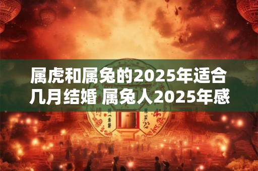 属虎和属兔的2026年适合几月结婚 属兔人2026年感情顺利吗