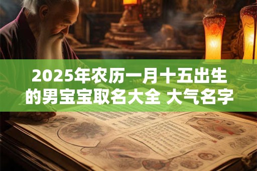 2025年农历一月十五出生的男宝宝取名大全 大气名字