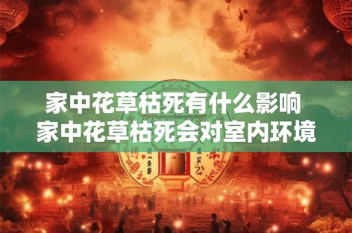 家中花草枯死有什么影响 家中花草枯死会对室内环境产生影响吗