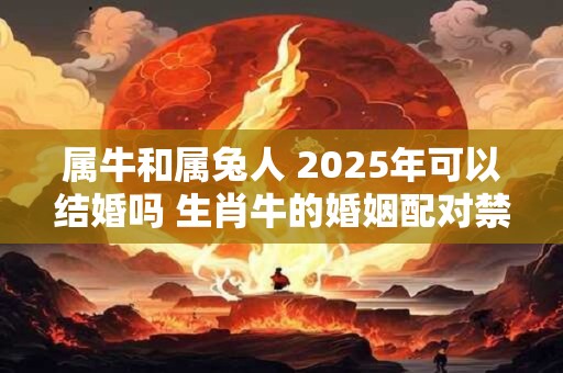 属牛和属兔人 2025年可以结婚吗 生肖牛的婚姻配对禁忌