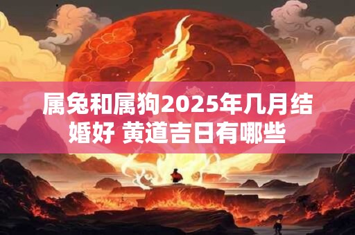 属兔和属狗2025年几月结婚好 黄道吉日有哪些 属兔和属狗2025年几月结婚好 黄道吉日有哪些