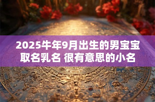 2025牛年9月出生的男宝宝取名乳名 很有意思的小名
