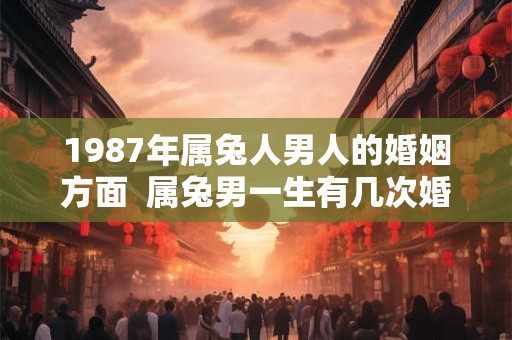 1987年属兔人男人的婚姻方面  属兔男一生有几次婚姻