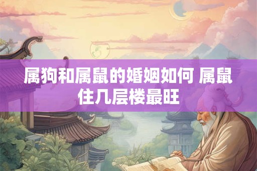 属狗和属鼠的婚姻如何 属鼠住几层楼最旺