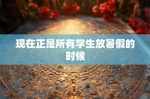 现在正是所有学生放暑假的时候