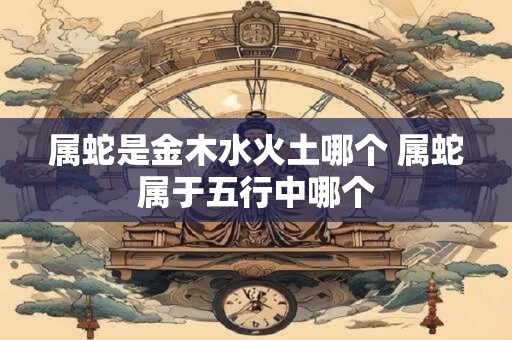 属蛇是金木水火土哪个 属蛇属于五行中哪个