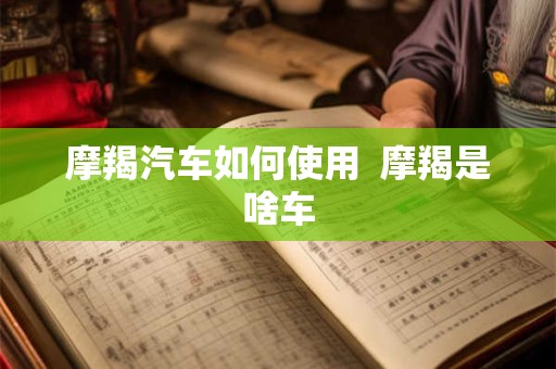 摩羯汽车如何使用  摩羯是啥车
