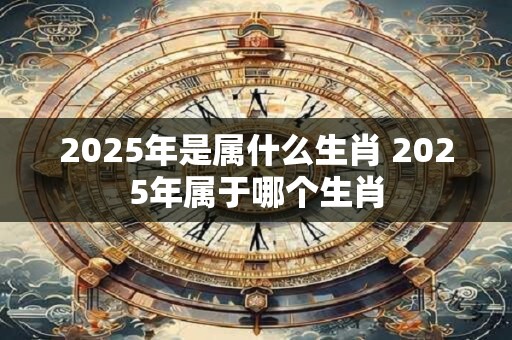 2025年是属什么生肖 2025年属于哪个生肖