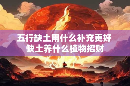 五行缺土用什么补充更好 缺土养什么植物招财