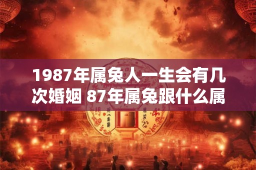 1987年属兔人一生会有几次婚姻 87年属兔跟什么属相般配 1987年属兔人一生会有几次婚姻 87年属兔跟什么属相般配