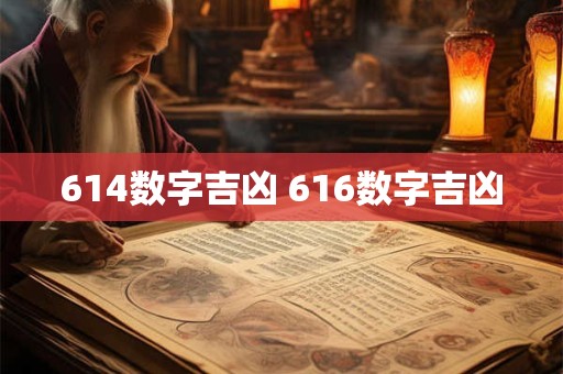 614数字吉凶 616数字吉凶