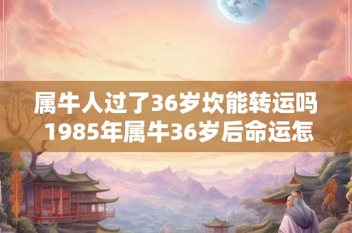 属牛人过了36岁坎能转运吗 1985年属牛36岁后命运怎么样 属牛人过了36岁坎能转运吗 1985年属牛36岁后命运怎么样