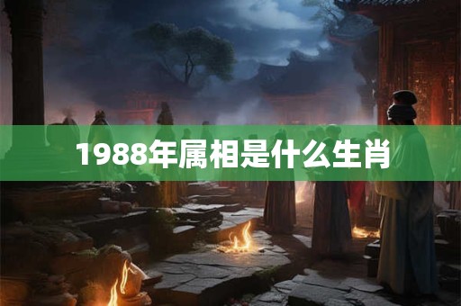1988年属相是什么生肖