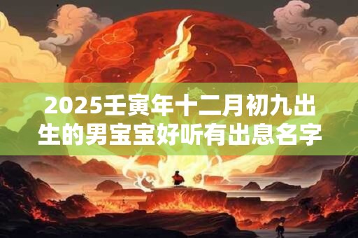 2025壬寅年十二月初九出生的男宝宝好听有出息名字