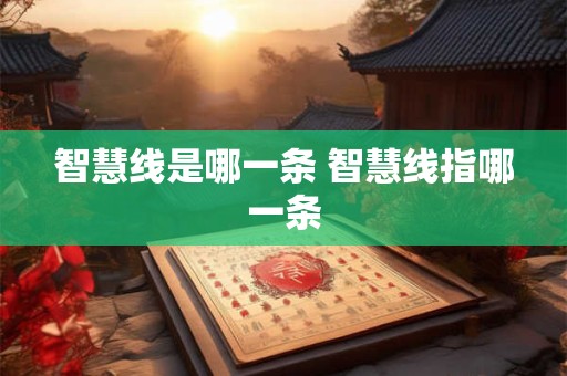 智慧线是哪一条 智慧线指哪一条
