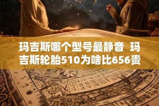 玛吉斯哪个型号最静音  玛吉斯轮胎510为啥比656贵么