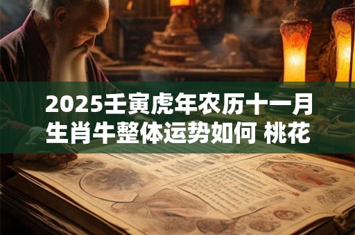 2025壬寅虎年农历十一月生肖牛整体运势如何 桃花运好不好