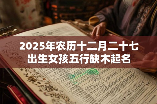 2025年农历十二月二十七出生女孩五行缺木起名