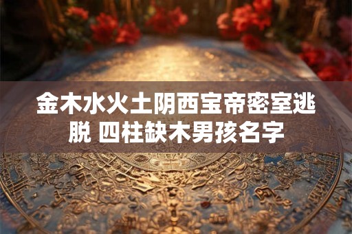 金木水火土阴西宝帝密室逃脱 四柱缺木男孩名字