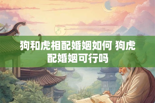 狗和虎相配婚姻如何 狗虎配婚姻可行吗