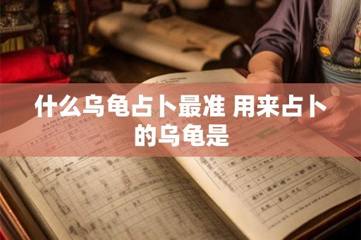 什么乌龟占卜最准 用来占卜的乌龟是