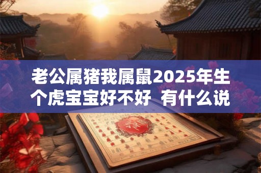 老公属猪我属鼠2025年生个虎宝宝好不好  有什么说法
