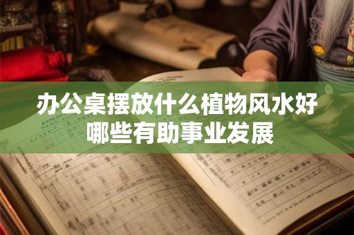 办公桌摆放什么植物风水好 哪些有助事业发展