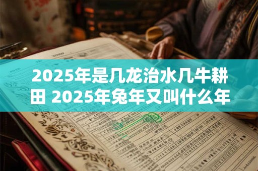 2025年是几龙治水几牛耕田 2025年兔年又叫什么年