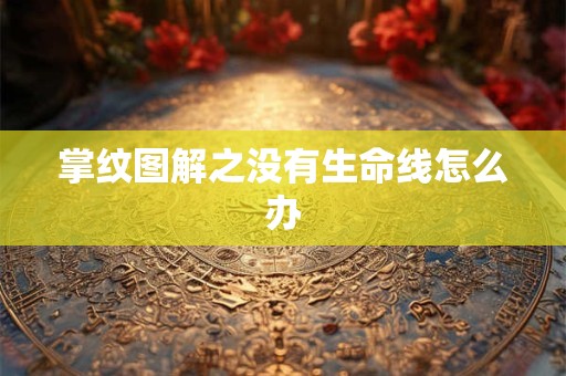 掌纹图解之没有生命线怎么办