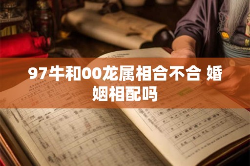 97牛和00龙属相合不合 婚姻相配吗