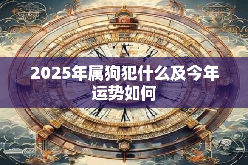 2025年属狗犯什么及今年运势如何