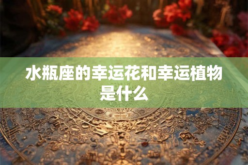 水瓶座的幸运花和幸运植物是什么