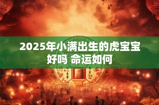 2025年小满出生的虎宝宝好吗 命运如何