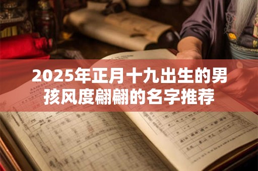 2025年正月十九出生的男孩风度翩翩的名字推荐