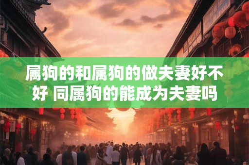 属狗的和属狗的做夫妻好不好 同属狗的能成为夫妻吗