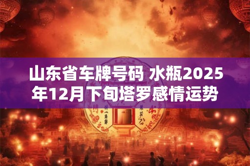 山东省车牌号码 水瓶2025年12月下旬塔罗感情运势