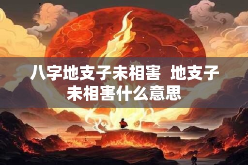 八字地支子未相害  地支子未相害什么意思