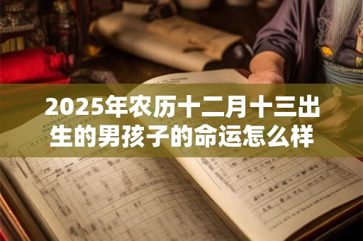 2025年农历十二月十三出生的男孩子的命运怎么样