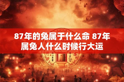 87年的兔属于什么命 87年属兔人什么时候行大运
