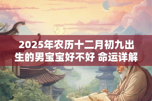 2025年农历十二月初九出生的男宝宝好不好 命运详解