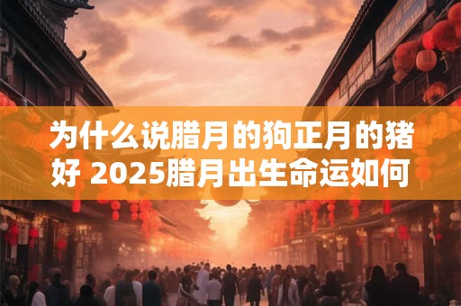 为什么说腊月的狗正月的猪好 2025腊月出生命运如何