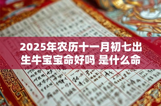 2025年农历十一月初七出生牛宝宝命好吗 是什么命