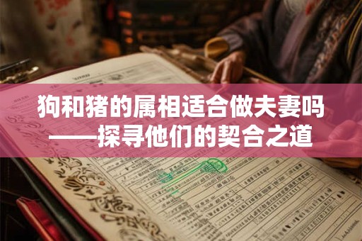 狗和猪的属相适合做夫妻吗——探寻他们的契合之道