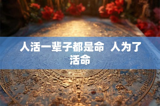 人活一辈子都是命  人为了活命